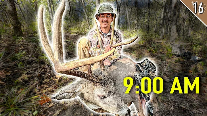 Ted’s Public Land Buck!! (October Morning Success)