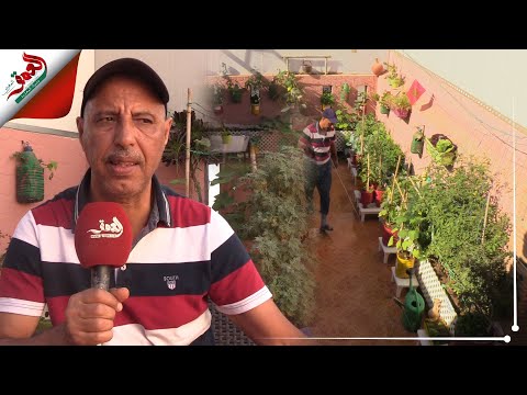 فيديو: نباتات حديقة الظل الاستوائية: نصائح حول إنشاء حديقة الظل الاستوائية