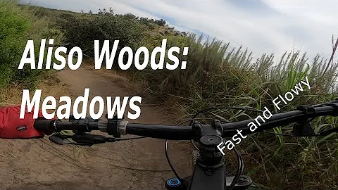 The best intermediate Trail in Aliso Woods | Meado...