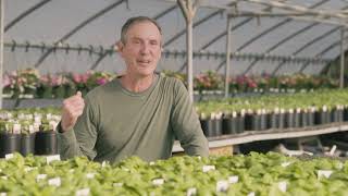 Cid's Homegrown - Ep 1 - Charybda Farms