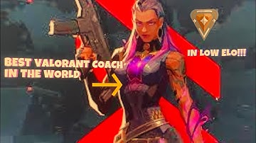 I met the best Valorant Coach In A *LOW ELO* LOBBY