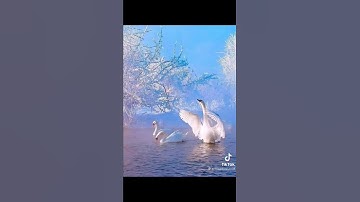 سورة الضحى كما لم تسمعها من قبل من اجمل الاصوات