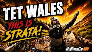 This is Strata - TET Wales 2026 - The Drone Catcher