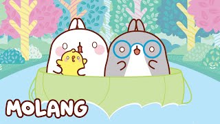🩵✨ Into the Wild | Molang | Cartoons for Kids