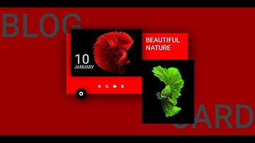 BLOG CARD | HTML & CSS