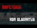 Unfiltered Hog Slaughter