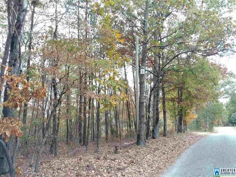 1454 STEVE CROWDER RD 1, Bessemer, AL home video tour