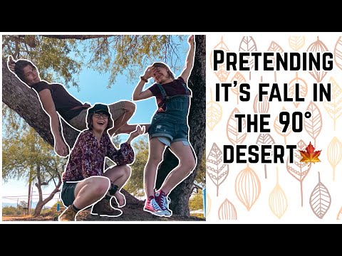 An October Vlog / An Autumn Gilmore Girls Inspired Day // vintage market and bookstores