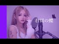➹:右肩の蝶-のりぴー/歌ってみた【sera】