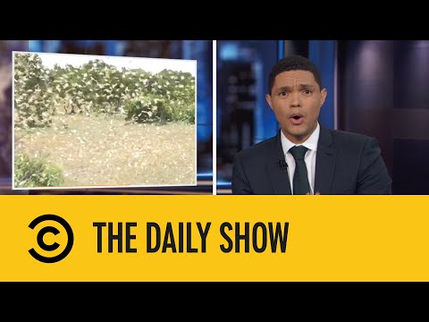 Locusts vs Corona | The Daily Show | 11 March 2020