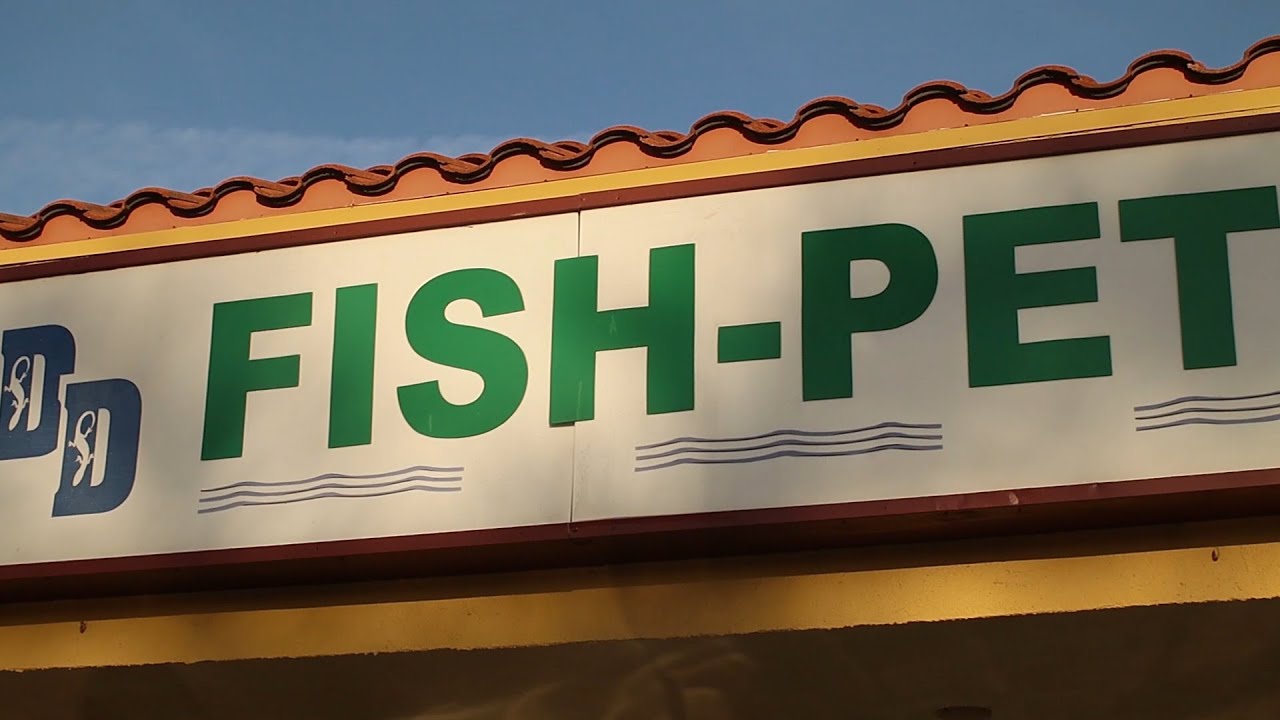 Trip to the DD fish store in Santa Ana, California. - YouTube