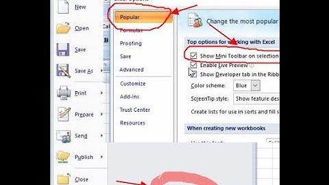 Excel 2007 Options:Mini Toolbar