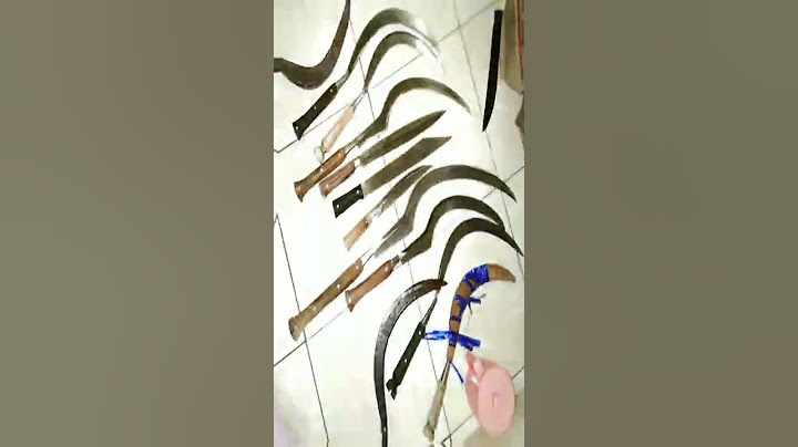 JJ senjata tauran jangan coba coba ngajak gelud nya 😎