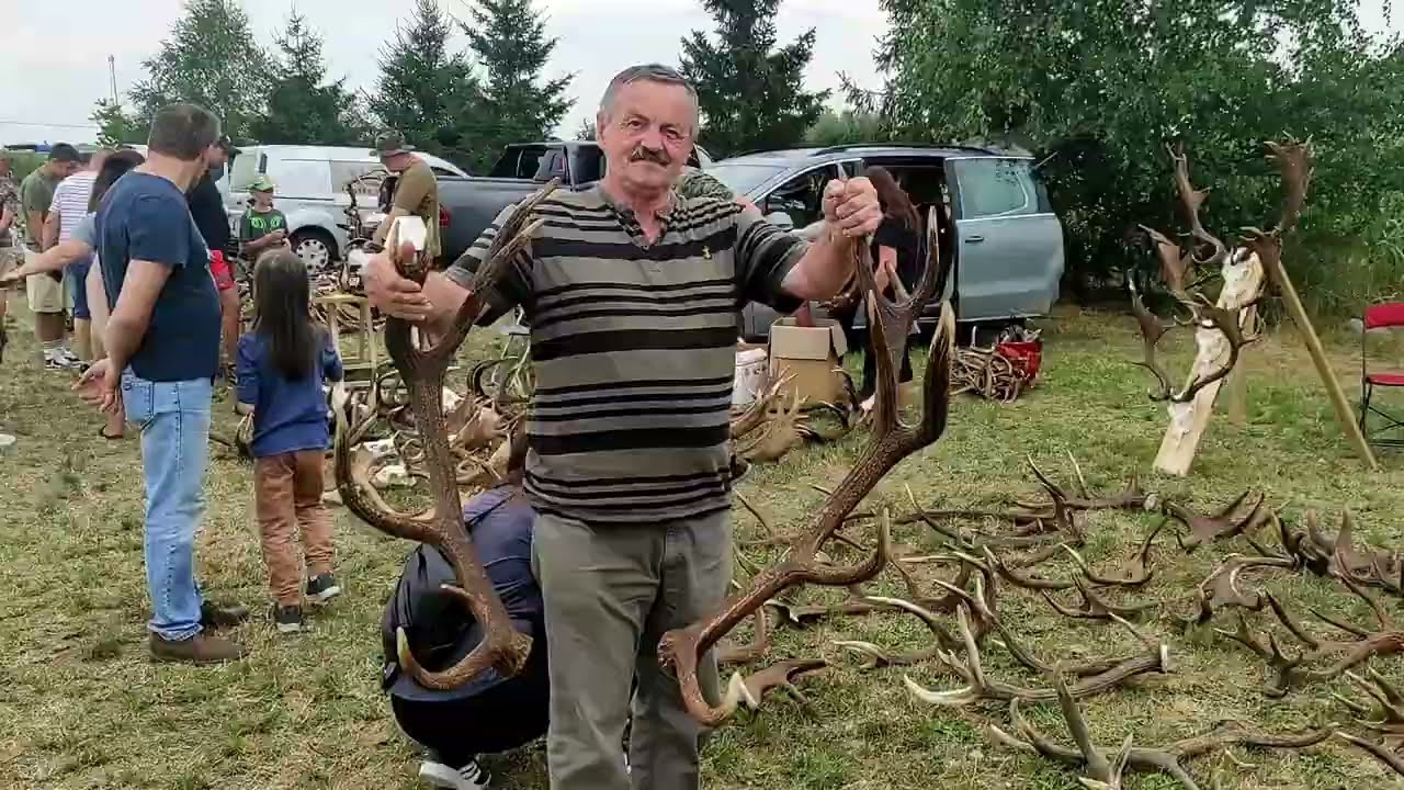 II Wielkopolski Zlot Pasjonatów Poroża  - Dziewoklucz 27.07.2024 #zrzuty #deer