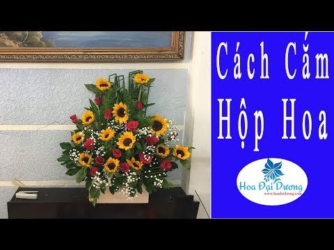 Video Cách Cắm Hộp Hoa Hướng Dương Hồng Đỏ Đẹp Đơn Giản 2019 - youtube