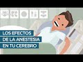 Los efectos de la anestesia en tu cerebro