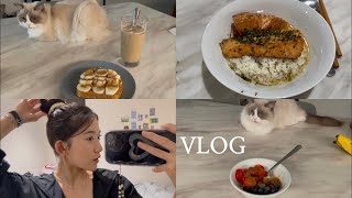 Vlog) 면역력 박살난 유학생의 건강식 브이로그, 근데 이제 일상을 곁들인 (계란장, 오차즈케, 연어장, 오트밀쿠키, 오나오)
