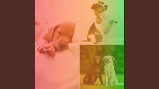 Beautiful Moods for Doggy Relaxing Day
