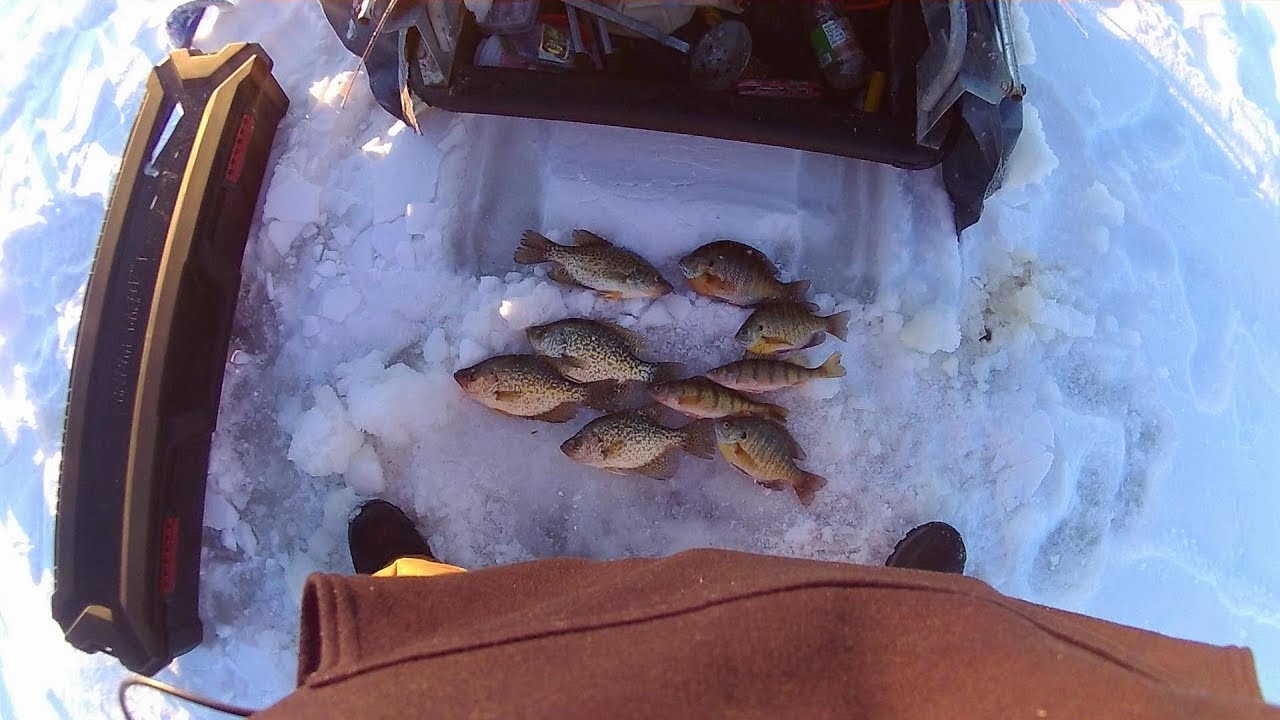 Ice fishing Northern Wisconsin for Panfish! YouTube
