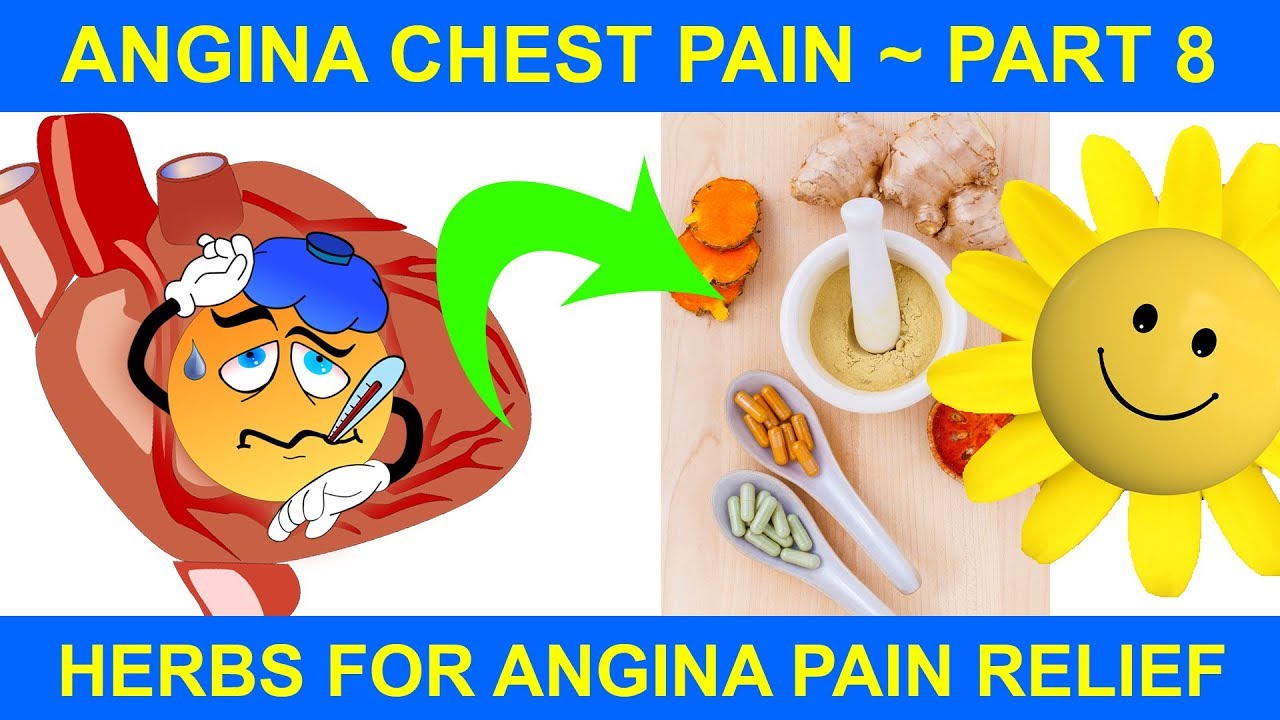 Angina Chest Pain 8 Herbs for Angina Pain Natural Health YouTube