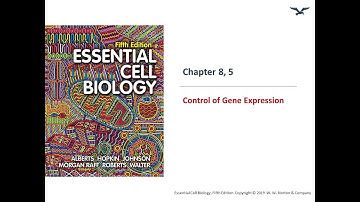 Control of Gene Expression