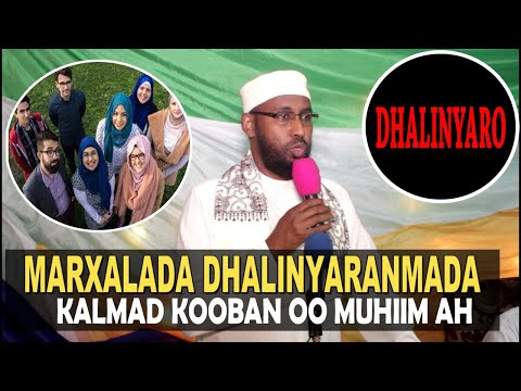 XAALKA DHALINYARANIMADA KALMAD KOOBAN OO MUHIIM AH Sh Cabdiqani Qorane