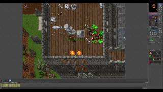 Tibia Elite Knight Where to task? Giant spiders yalahar 80+