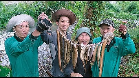 câu cá chạch và lươn trong vòng 3h ở sông đồng nai( phần 6) ngẫu hứng vlog #câucáchạch #fish