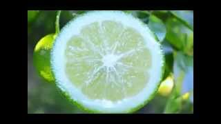 かぼす大分県佐伯市