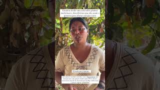 Indigenous medicinal plants in the Amazon Rainforest