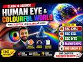 human eye and colourful world