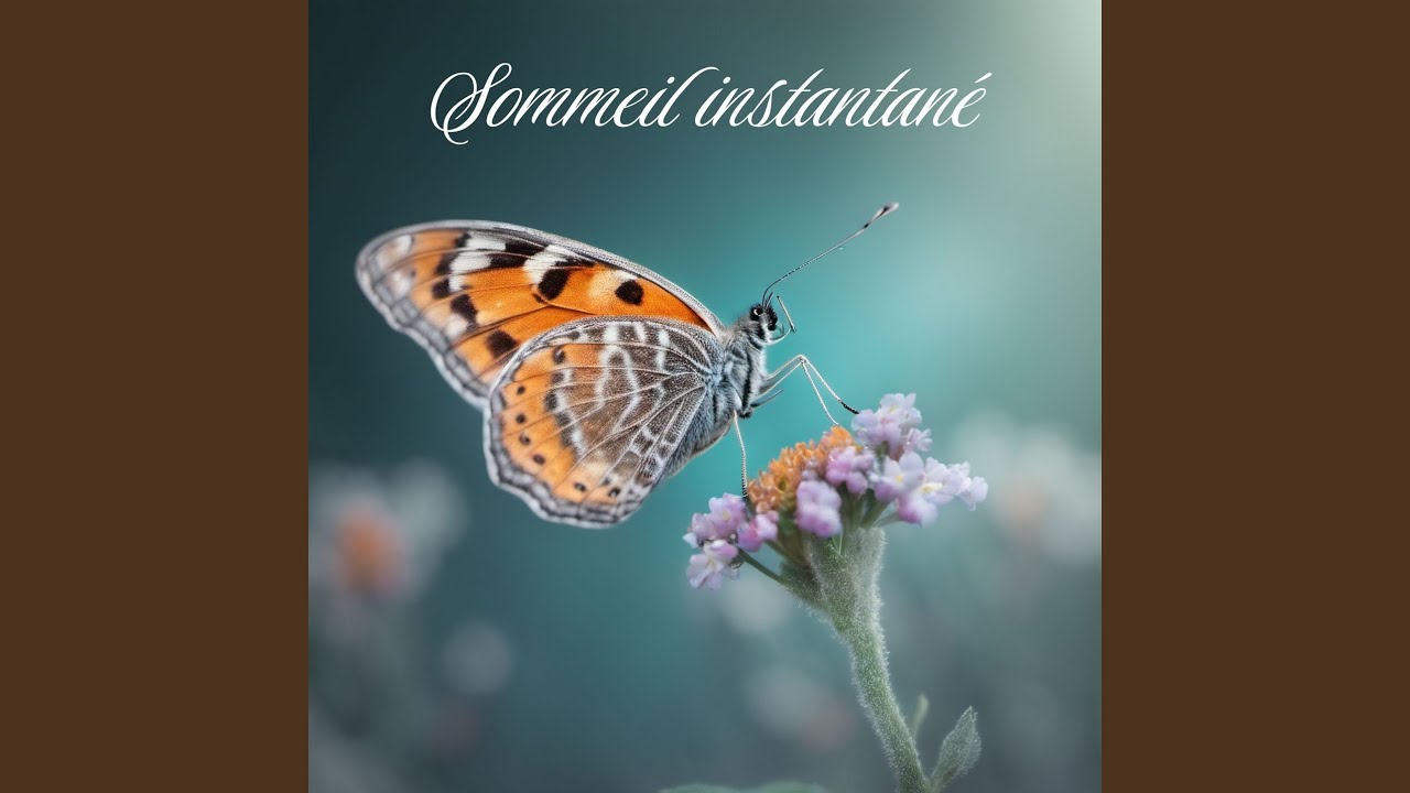 Watch Sommeil instantané on YouTube Watch Sommeil instantané on YouTube