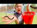 Bug hunt for real bugs centipedes spiders earwig toad hammerhead worm and more for kids