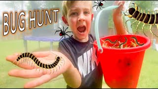 BUG HUNT for REAL BUGS!! Centipedes, SPIDERS, Earwig, TOAD, Hammerhead Worm and MORE FOR KIDS!!