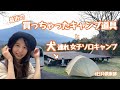 最近の買っちゃったキャンプ道具と犬連れ女子ソロキャンプ!