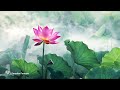 Buddha's Flute: Awakening | Music for Meditation & Zen