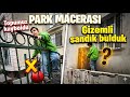 Park Macerası 😱