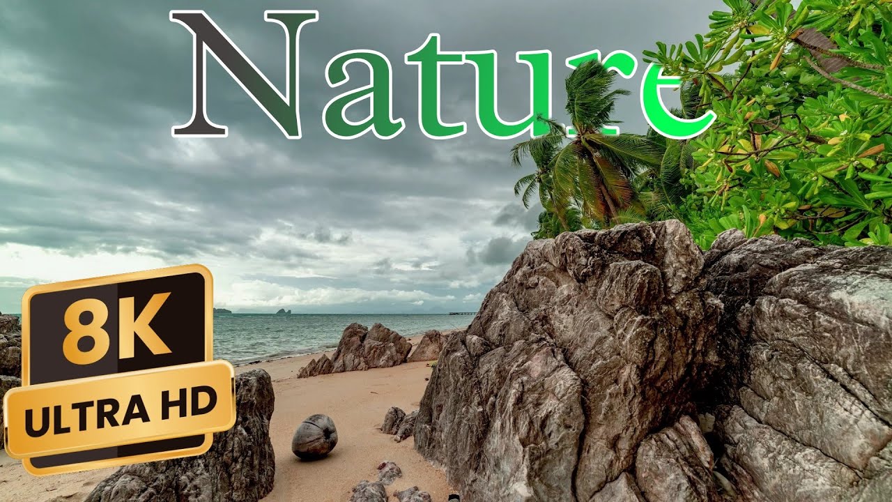 Nature in 8K ULTRA HD 60 FPS | High Resolution Videos - YouTube