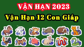 Vận Hạn của 12 Con Giáp trong năm 2023 chi tiết - Vận Hạn 2023 @tuvitannien