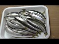 チカの蒸し物