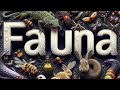 Storytelling Visual FAUNA #story #storytelling #visual #storytimevideo #storytime #boxidea