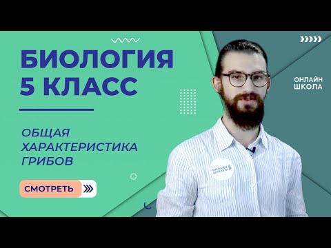 Общая характеристика грибов. Урок 15. Биология 5 класс