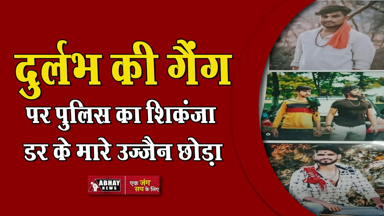 Noon News Bulletin, 27 November Abhay News YouTube