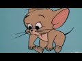 Tom And Jerry Ah Sweet Mouse Story Of Life 1965 Tom And Jerry Episode 134 T J 