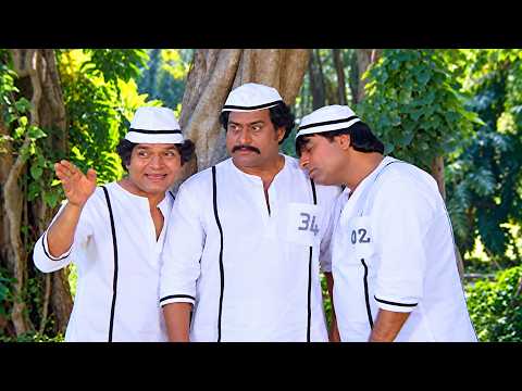 जेल गए थे सजा काटने… यहाँ तो Fielding लगाने लगे 😂 Kader Khan–Asrani Comedy Scene | Haste Raho