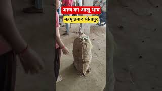 आलू का रेट #farming #alookabhav #agriculture #viralshorts #sitapur