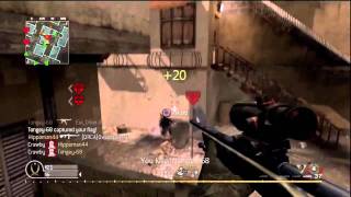 Triple Ginger Feed (Split Feed)