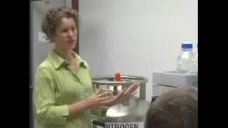 LCMS 2007 : 2 : Hardware Introduction