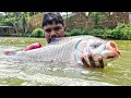 New Unique Underwater Fishing | Best Fish Catching | Best Fishing Video