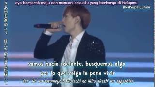 Super Junior WAY Indo Sub HFZ